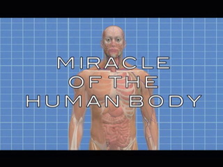 Miracle of the Human Body